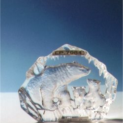 CRYSTAL ART PLAQUE POLAR BE4AR