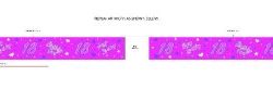 PC099006 18TH SASH