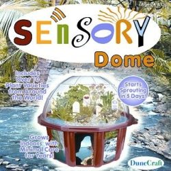 SENSORY DOME