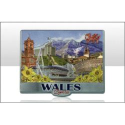 WALES PHOTO MONTAGE FOIL MAGNET