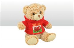 Wales 20cm Fleece Hoodie Soft Toy Bear