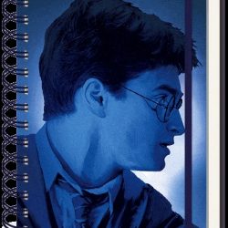 HARRY POTTER (MAGIC PORTRAIT) A5 LENTICULAR COVER