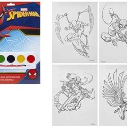 SPIDERMAN PAINTING SET