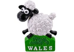 WALES COMICAL SHEEP RESIN MAGNET