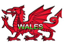 WALES DRAGON WOODEN MAGNET