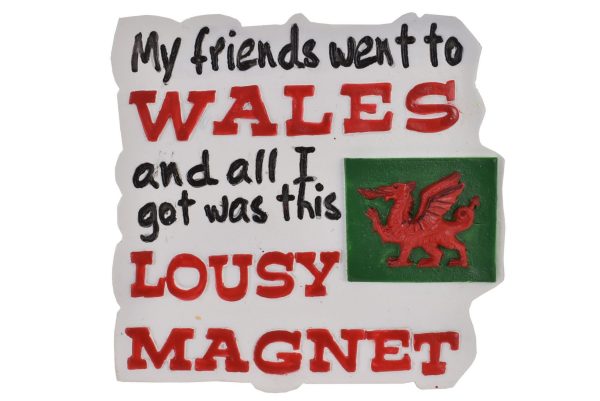WALES RESIN MAGNET LOUSY DESIGN