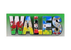 WALES LETTERS ACRYLIC MAGNET