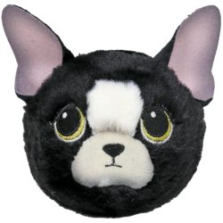 DOODLE CHIHUAHUA – BOUNCER