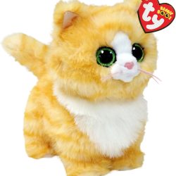 MELANIE TABBYCAT – BOO – REG