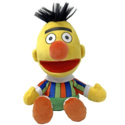 BERT – SESAME STREET – REG